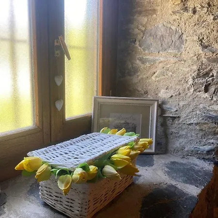 Moli D'osseja Dom wakacyjny Osséja